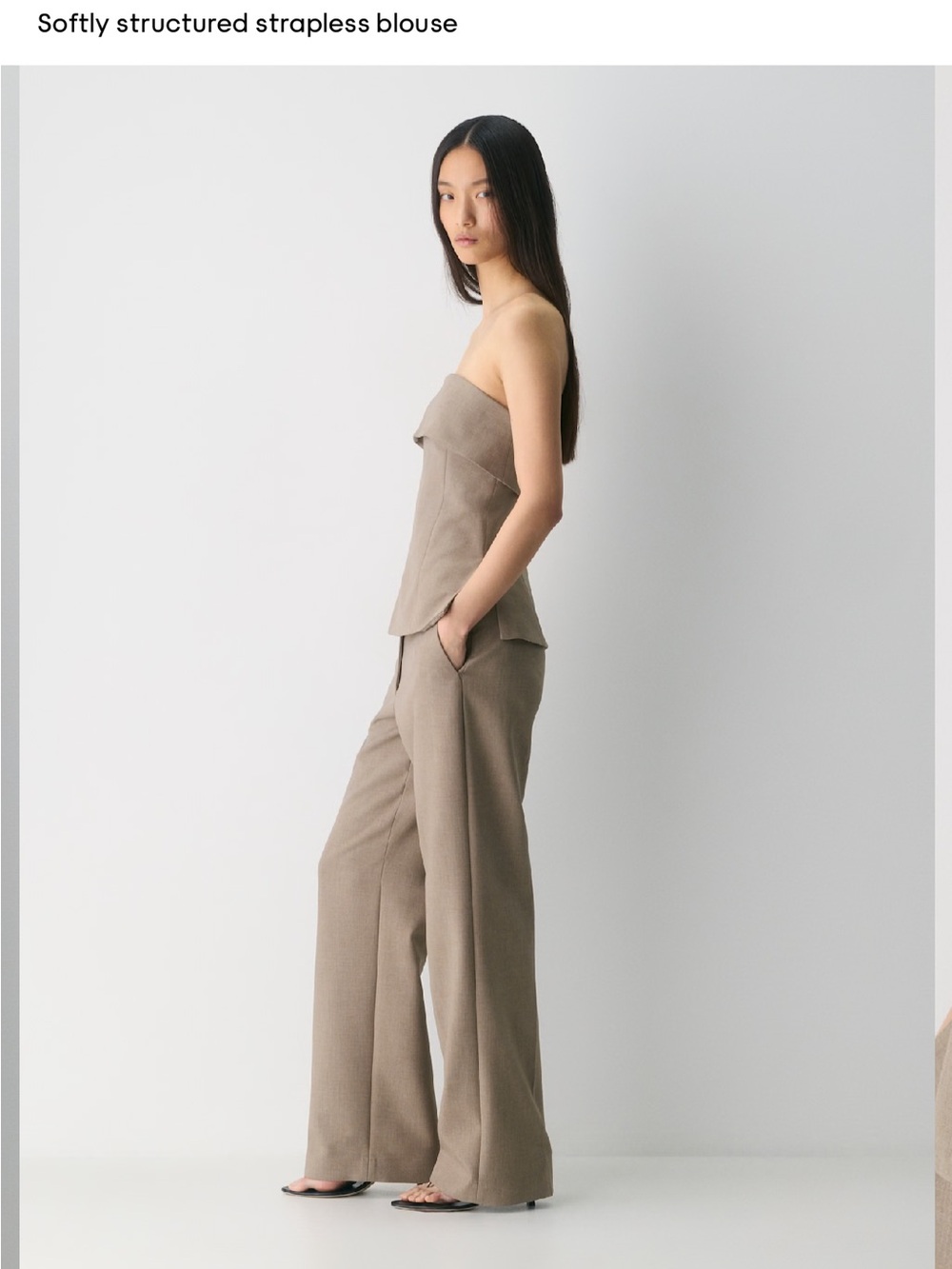 Aritzia Strapless Structured Top in Taupe